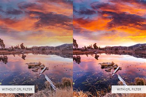 What is CPL Filter in Photography ⁠— Easy Guide