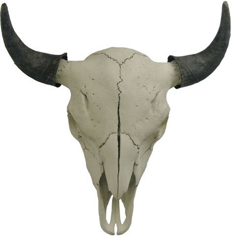 23 best Long Horn Skulls images on Pinterest | Animal skulls, Long horn and Painted cow skulls