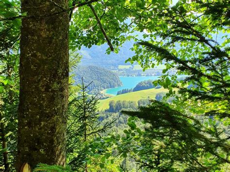 Ausblick auf den Wolfgangsee Routes for Walking and Hiking | Komoot