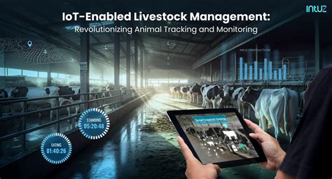 AI & IoT for Livestock Management: Track and Monitor Animals