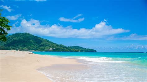 Landscape View Of Greenery Mountains Ocean Views Beach Sand Under Blue Sky HD Ocean Wallpapers ...