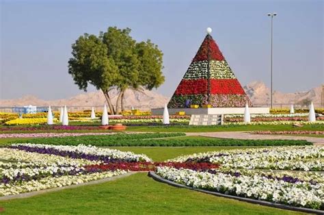 Hili Gardens Al Ain | Fasci Garden