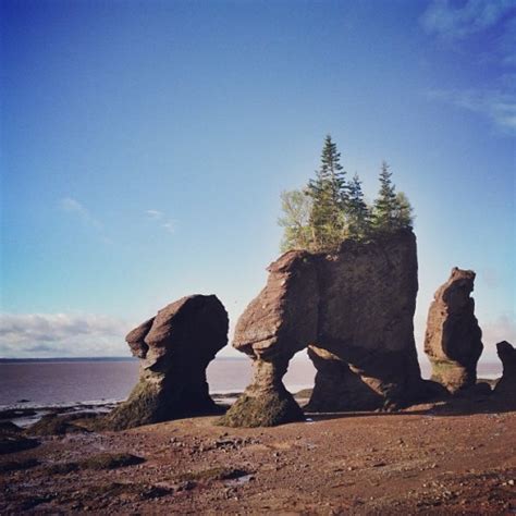 Hopewell Rocks at low tide #explorecanada... | Keep Exploring