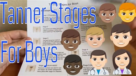 Tanner Stages Chart With Pictures