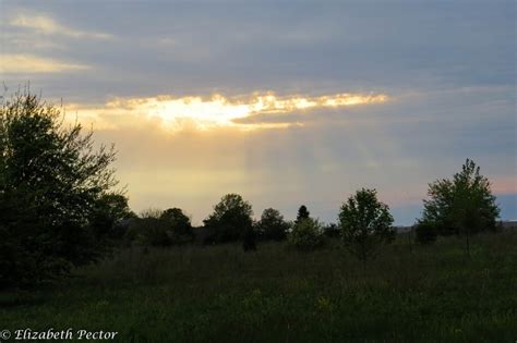 10 Beautiful County Forest Preserves in Illinois