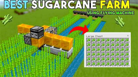 FLYING MACHINE SUGARCANE FARM IN MINECRAFT BEDROCK 1.19(MCPE/XBOX ...