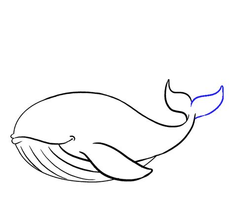 How to Draw an Easy Whale - Really Easy Drawing Tutorial | Whale drawing, Easy drawings, Drawing ...