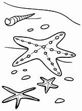 33 Starfish Coloring Pages  Free & Printable For Kids And Adults sketch template