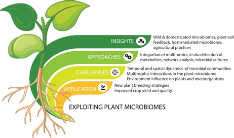 Beyond Plant Microbiome Composition: Exploiting...