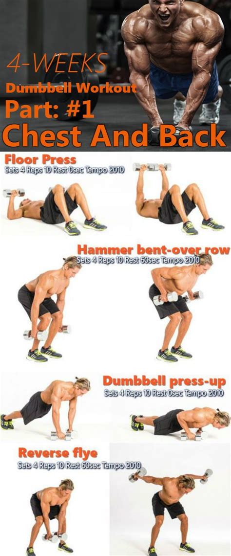 The 4-Week Dumbbell Workout Plan Part 1: Chest And Back - GymGuider.com | Dumbbell workout plan ...