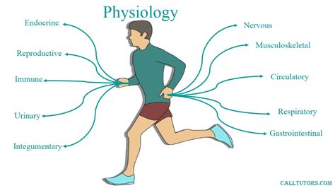 Physiology books pdf free download | Physiology, Systems biology ...