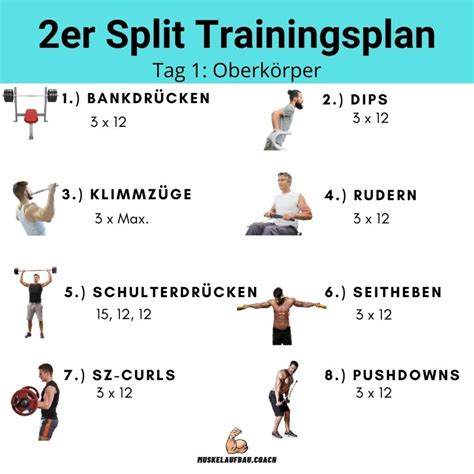 2er Split Trainingsplan | Muskelaufbau.Coach