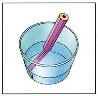 Refraction of Light Experiment for Kids - What is Refraction? - Ency123