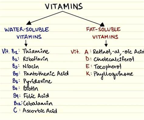 Water Soluble and Fat Soluble Vitamins Differ in Which Way - Jaiden-has ...