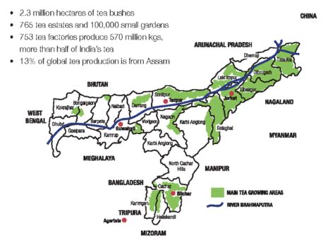 The Tea Maven | land-of-maps: World’s largest tea growing...