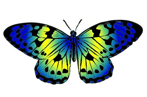 Butterflies clipart butterfly clip art vergilis 2 - Clipartix