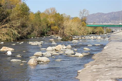 Coming together for people and birds along the L.A. River | Audubon ...