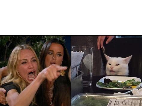 Taylor Armstrong Pointing/Yelling to a White Cat [meme examples in comments] : MemeTemplatesOfficial