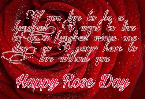 Rose Day Images 2020 Pictures Quotes for him and her