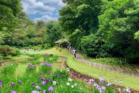 Meiji Shrine Inner Garden is a hidden paradise