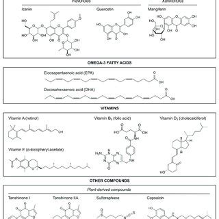 Possible neuroprotective mechanisms of natural products associated with... | Download Scientific ...