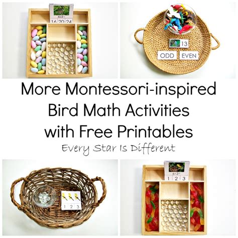 Montessori-inspired Bird Math Activities with Free Printables - Every Star Is Different