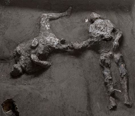 Newfound corpses at Pompeii were a master and servant who died together ...