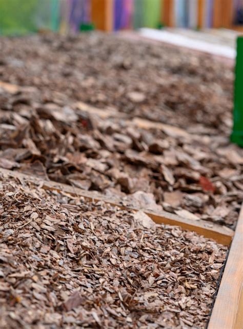 Five Advantages of Mulching Your Trees and Shrubs Through the Winter ...