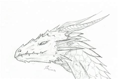 Dragon head sketch by shiva-dono on DeviantArt