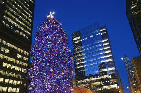 See If You Live Near The Best Christmas Tree in Your State | Chicago ...