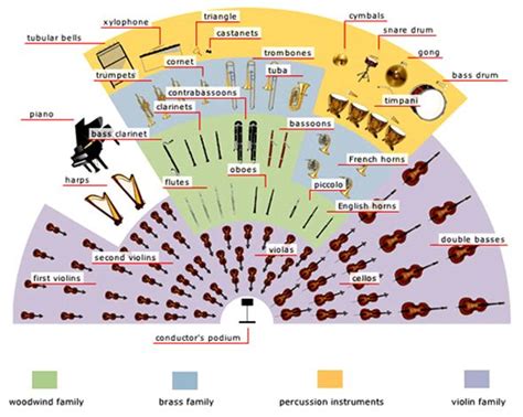 Orchestra seating chart | Orchestra, Instrument families, Music lessons