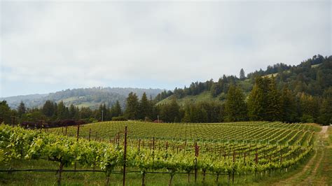 Sonoma to Napa Valley: A guide to road tripping through California's ...