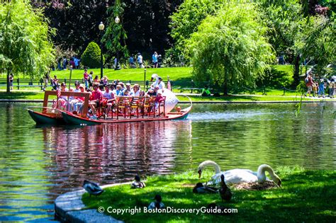 Boston Swan Boats - Top Attraction - Boston Discovery Guide