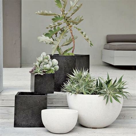 Pin on decorating with plants