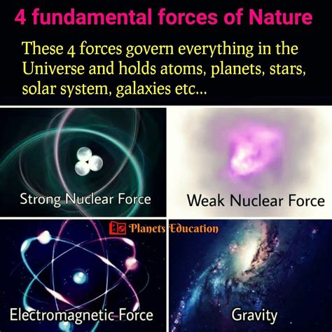 4 fundamental forces of nature | Physics facts, Cool science facts ...