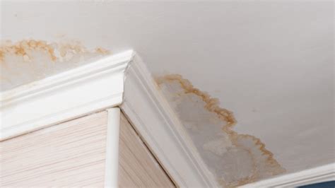 How to Address Water Damage on the Ceiling Under the Bathroom