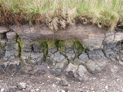 alluvial soil | alluvial material deposited over a peat soil… | Flickr