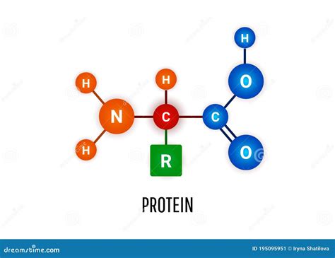 Protein Chemical Formula Molecule on White Background Stock Vector ...