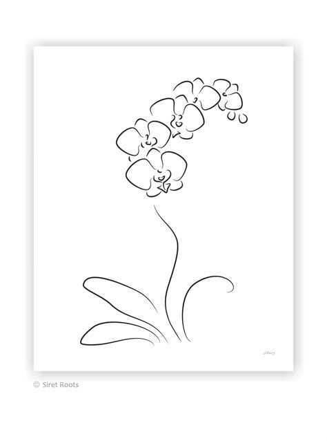 Minimalist Flower Art Print. Black and White Orchid Line - Etsy | Orchid drawing, Flower prints ...