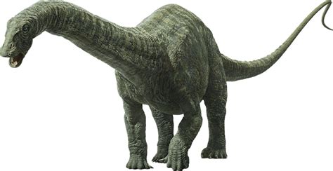 Apatosaurus | Jurassic Park Wiki | Fandom