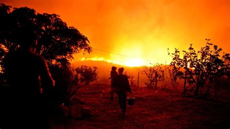 At least 61 killed as forest fires rage across Portugal