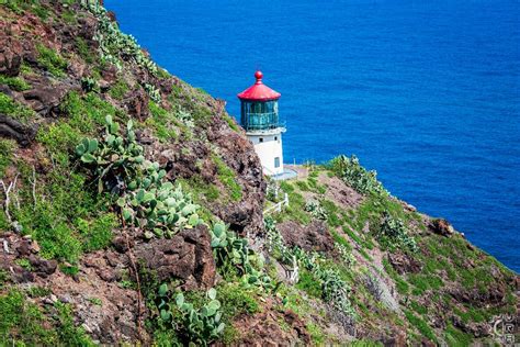 Makapu'u Point Lighthouse Trail in Waimanalo, Oahu, Hawaii | Hawaiian ...