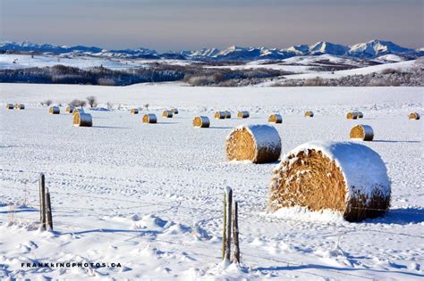 Rural landscapes: the early winter landscape | FRANK KING PHOTOS