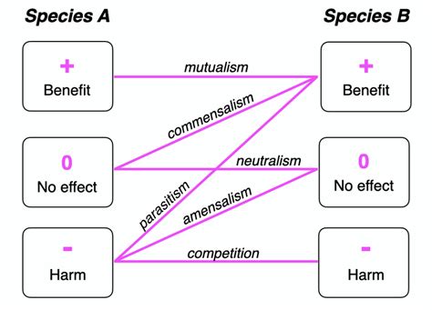 Diagram of the six possible types of symbiotic relationship, from... | Download Scientific Diagram