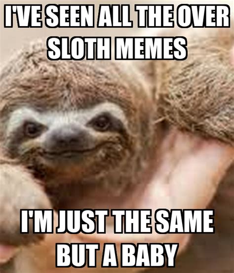 50+ Hilarious Sloth Memes To Brighten Your Day