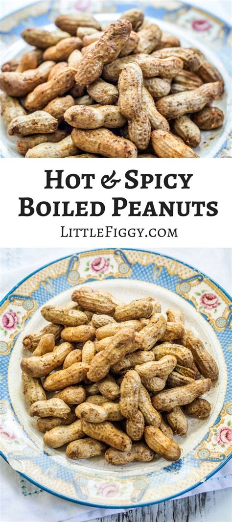 Try these southern road trip favorites, Hot & Spicy Boiled Peanuts ...