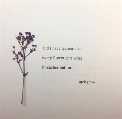 and I have learned that every flower gets what it reaches out for. - april green (via Instagram ...