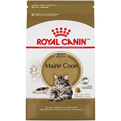 9 Best Cat Food for Maine Coons (2022 Reviews) - Maine Coon Hawaii