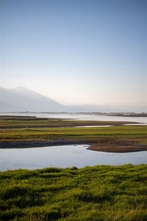 Why Peatland Restoration Is Important: Carbon Storage, Biodiversity Protection & Keeping Water ...