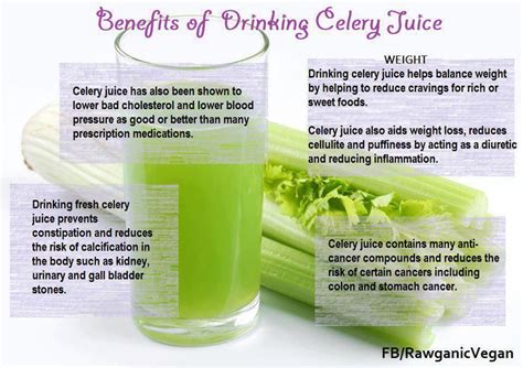 Celery Juice Good For Kidneys - health benefits